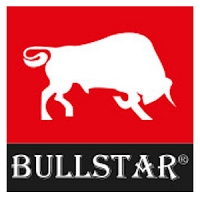 Logo Bullstar
